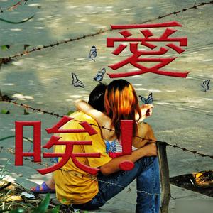 叔母义母光头最经典十首歌曲
