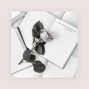 叔母义母光头最经典十首歌曲
