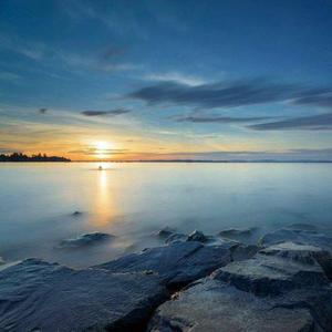 叔母义母光头最经典十首歌曲
